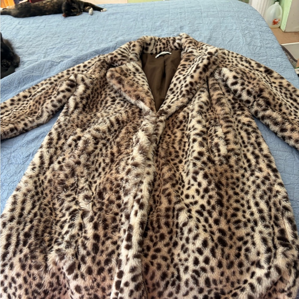 Like New Stoosh Leopard Print Teddy Jacket